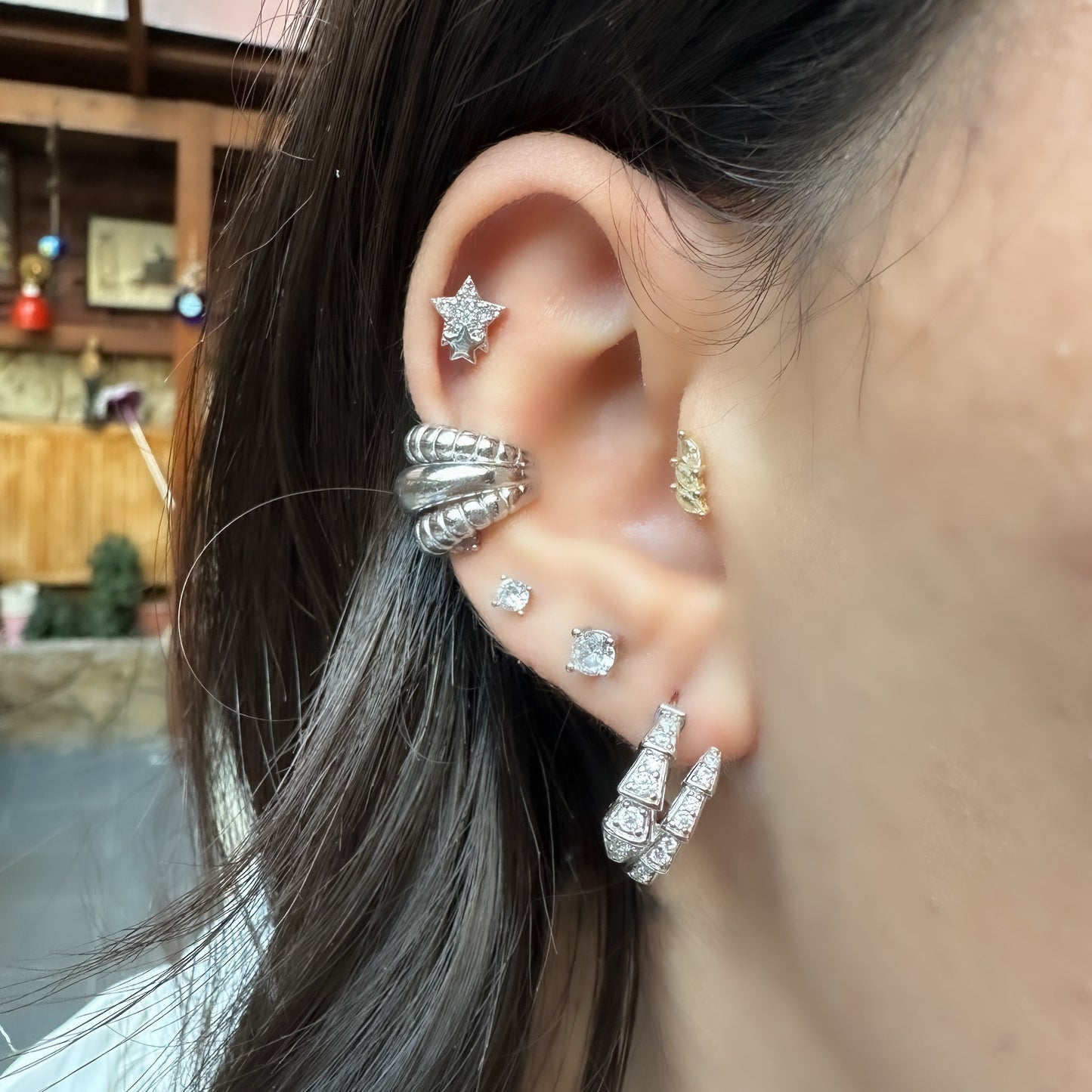 Snake Earring