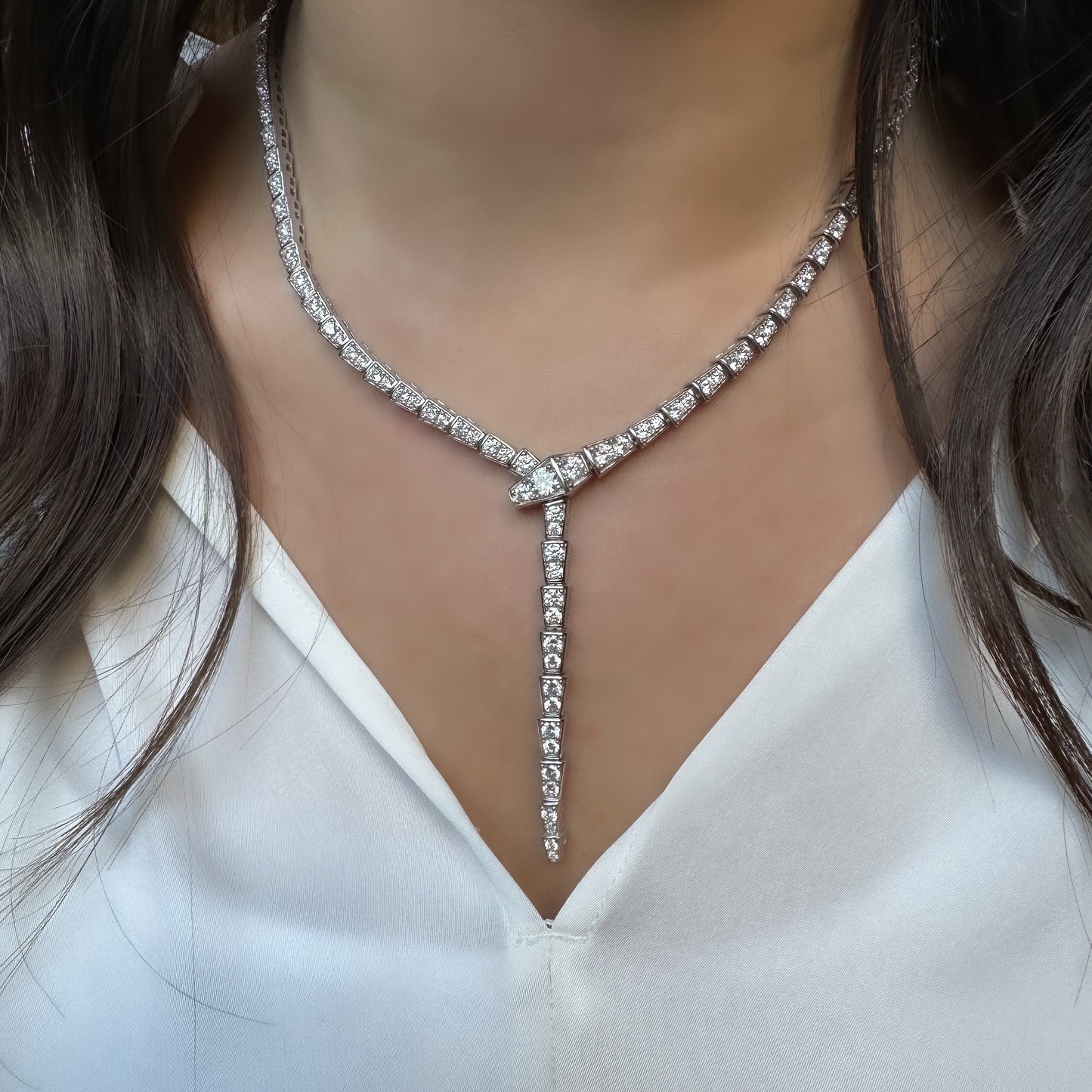 Snake Design Necklace